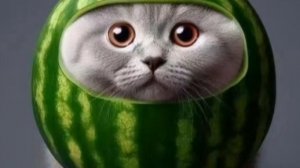 как сделать мармеладку вкуснее? (пародия на howtobasic) #рофл