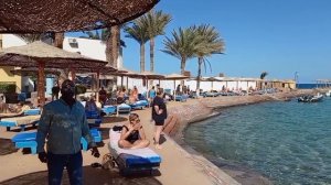 Dran Matras - У моря на берегу [HD]