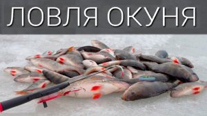 Наловили Гору Окуня. Русская Рыбалка в Сибирии. Смотреть Лучшие Моменты Зима Рыбалка Сибирь Окунь