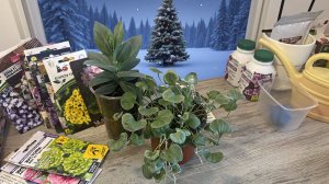 07.03.26 рассада ЦВЕТОВ. Проклёвывальник работает 😁 отлично