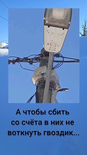 Про электричество и Умные счётчики #пермь #питомцы #собака #приют #спасение #помощь #долг #зима #сос