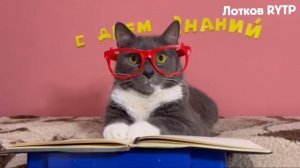 Kotiynet | RYTP ПУП