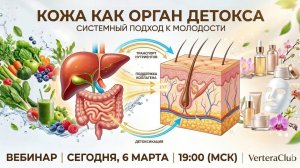 КОЖА КАК ОРГАН ДЕТОКСА