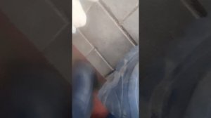 дибилижки 1 серия (взял идею)