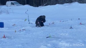 Ловим форель