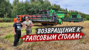 Впереди УБОРКА 900 гектаров ЯРОВОГО РАПСА, но сухой его нужно ещё НАЙТИ!