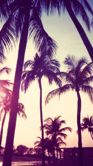 отвечаю на коммы