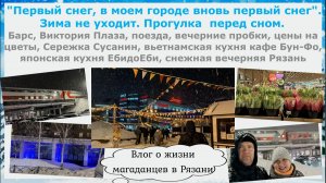 "Первый снег, в моем городе вновь первый снег". Зима не уходит. Прогулка перед сном по Рязани 4 март
