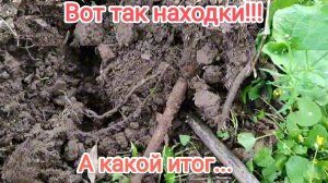 Мы с женой даже и предположить не могли что здесь будет столько находок !!!