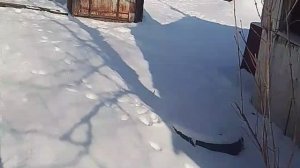 Морозный солнечный денёк весной!