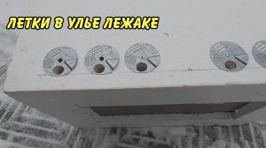 пчеловодство, летки в улье лежаке и отзыв о магазин-вощина и билекарь