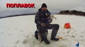 "ПИВНОЙ" ПОДЛЕЩИК на ПОПЛАВОК. Рыбалка на РУСЛЕ ИСТРЫ.