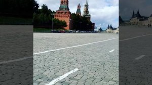 Видео_от_Бмвшки_Дельфин_10