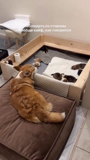 Женщина, идите на кухню😏! не мешайте отдыхать))