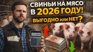 СВИНЬИ НА МЯСО В 2026 🐷 ВЫГОДНО ИЛИ НЕТ? Реальный расчёт прибыли по цифрам!


Сколько реально можно