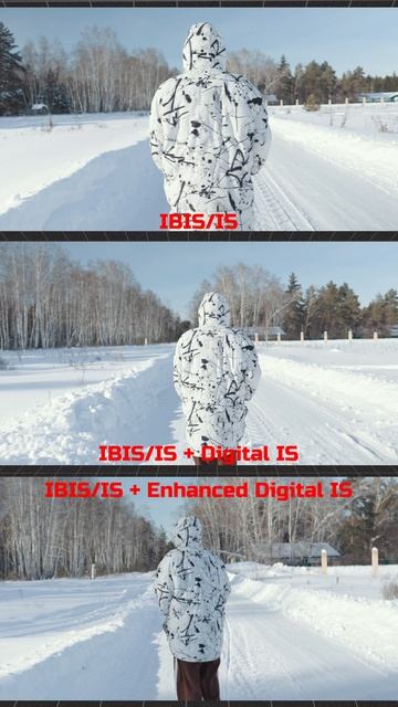 Canon R6 Mark III vs c50 смотреть онлайн