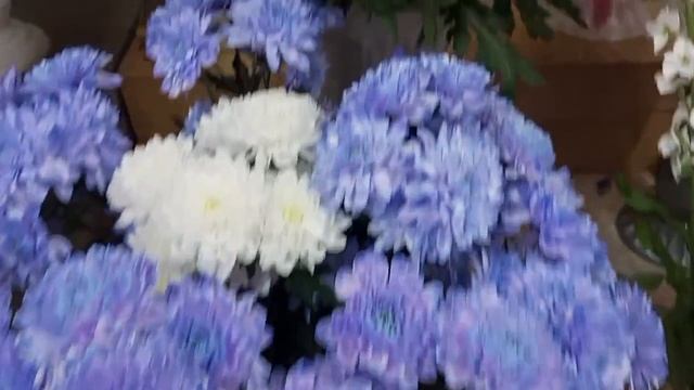 Цены на цветы в Тихорецке