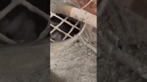 Процесс подкотовки замеса к заливке