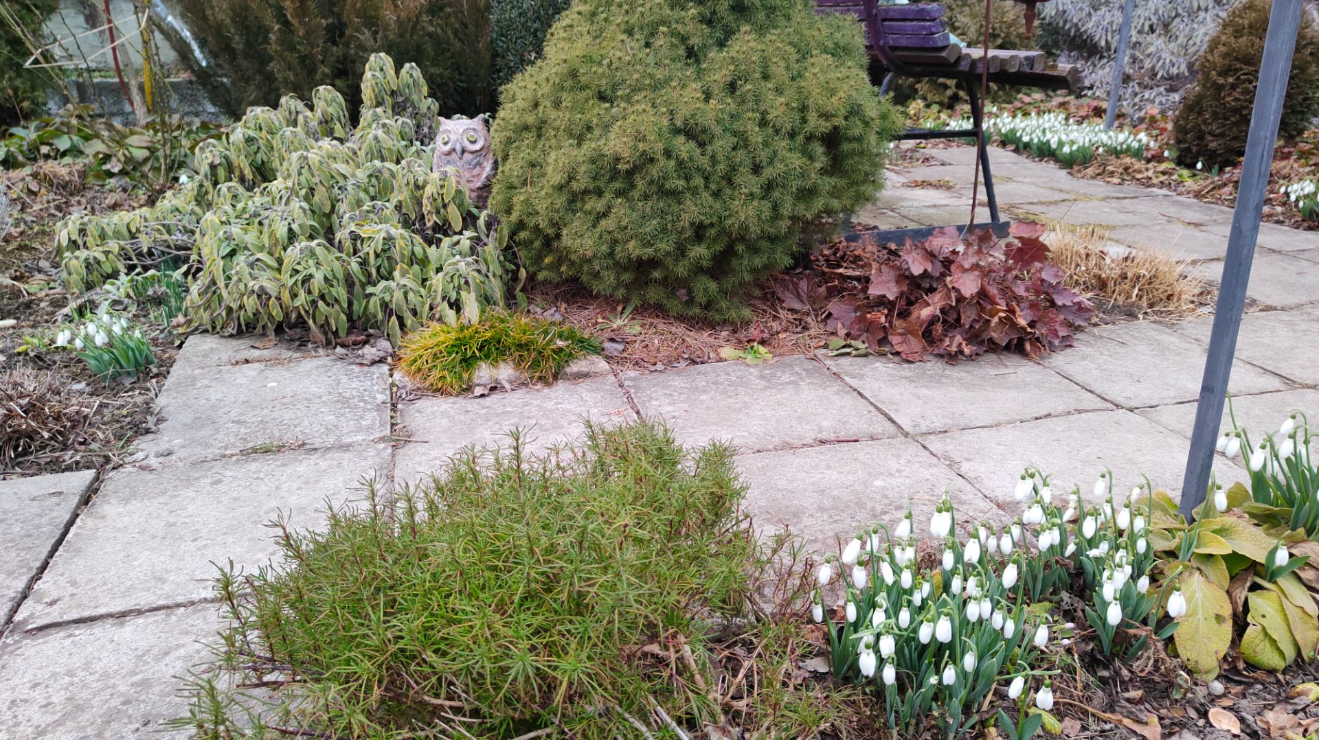 Клип на мою песню "Первые подснежники-песня о весне", слова мои, музыка - искусственный интеллект.