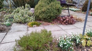 Клип на мою песню "Первые подснежники-песня о весне", слова мои, музыка - искусственный интеллект.