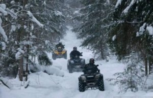 отвечаю на вопросы