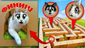 Построили Гигантский КАРТОННЫЙ ЛАБИРИНТ !