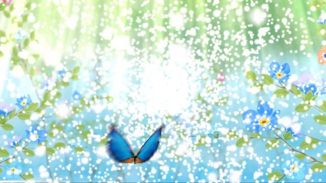 Футаж . Фон. Поздравление.