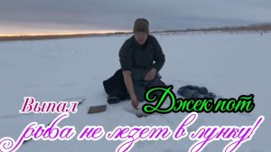 Выпал Джек пот!