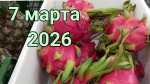 7 марта 2026. Получили матрас. Разное...
