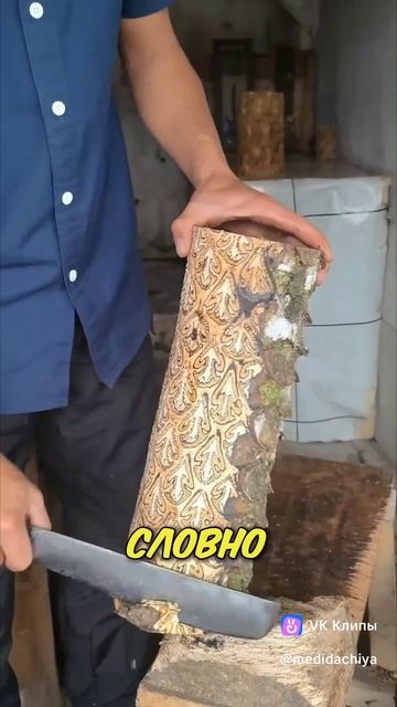 Вазы из дерева Батик