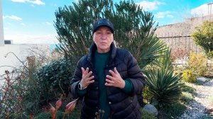 1 ошибка при обрезке роз, которая убивает цветение