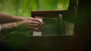 Nicholas Bamberger Revolve