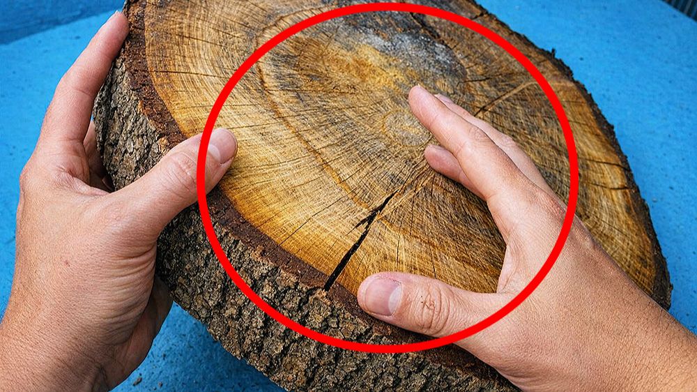 Да этом микробизнесе можно кучу денег поднять!