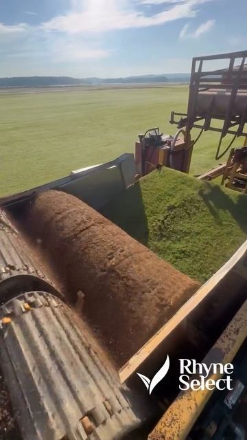 1832. Механизированная заготовка рулонного газона