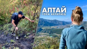 На гору Верблюд! Приключения в Чемале