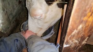 Ничего не понятно. Зачем объяснять?