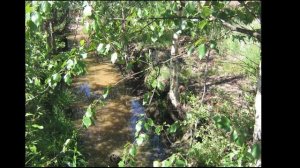 Дача ч2 2006-2007.mp4