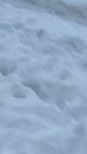 В лес приходит сказка.. 
(2 часть)