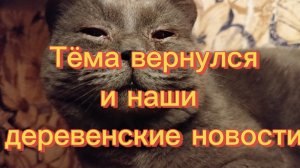 Тёма вернулся и наши деревенские новости