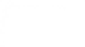 0307поклон67 икик нуола арууу попугайа  67 эксперементос