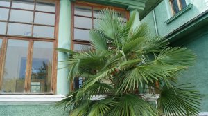 Госдача №18