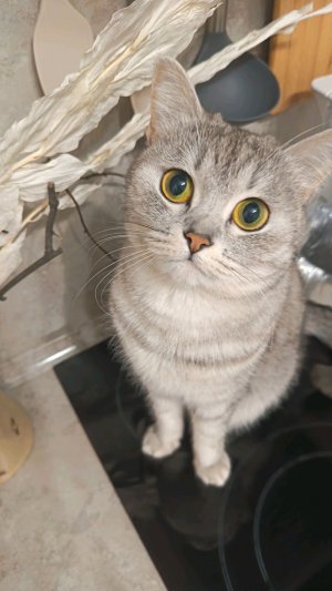 крутые🤘🤘🤘