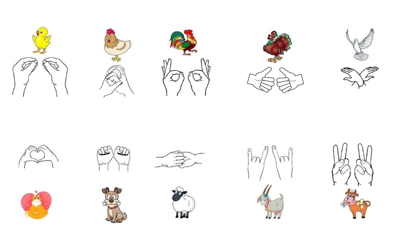 «Цыплёнок Пи» пальчиковая разминка