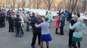 Хмельная сирень...... 07.03.26 Гомель парк Луначарского 🥰💫