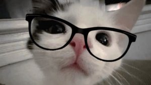 СПАСИБО ЗА АКТИВ😍💦