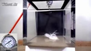 VID_20260307_054834_211.mp4