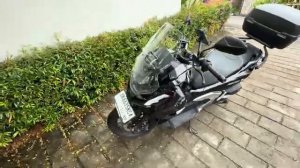 Беженец🇮🇩Бали. СОБАКА С ЧЕЛОВЕЧЕСКИМ ЛИЦОМ. ЗАБИРАЕМ С МОПЕД СИНДИ. МНЕ ПРИВЕЗЛИ НОВЫЙ АППАРАТ!