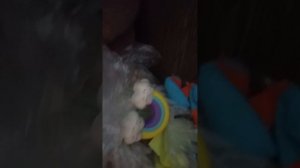 Миша пошёл в парк изучений