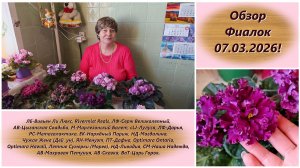 Обзор Фиалок 07.03.2026!