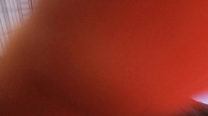 ПУТЕШЕСТВИЕ ПО МАГАЗИНАМ